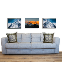 Load image into Gallery viewer, Grey Flower Cushion Cover