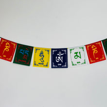 Load image into Gallery viewer, Compassion Mantra Prayer Flags