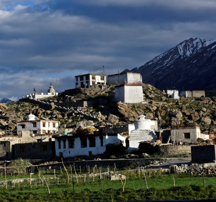 Padum Village in Zanskar Valley, Ladakh Northern India - Projects