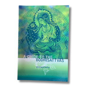 Buddha's Brain - the practical neuroscience of happiness, love & wisdom - Pre-loved