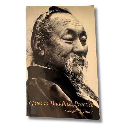 Gates to Buddhist Practice - Chagdud Tulku - Pre-loved