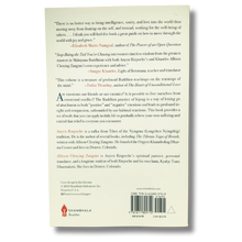Load image into Gallery viewer, Stop Biting the Tail You&#39;re Chasing - Anyen Rinpoche &amp; Allison Choying Zangmo - Pre-loved Book