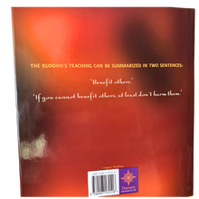 Load image into Gallery viewer, The Spirit of Peace – Teachings on Love, Compassion and Everyday Life (Fully Illustrated) (Pre-Loved)