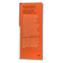 Load image into Gallery viewer, More Than Happiness – Buddhist and Stoic Wisdom for a Sceptical Age – Pre-loved