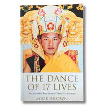 Load image into Gallery viewer, The Dance of 17 Lives - Pre-loved