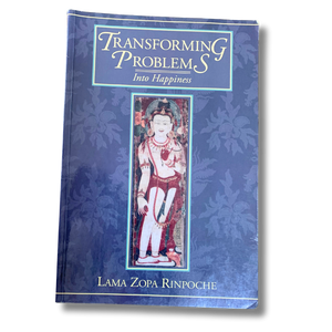 Transforming Problems into Happiness - Pre-Loved