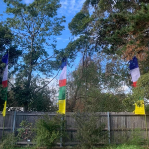 Vertical Windhorse Prayer Flags - Large