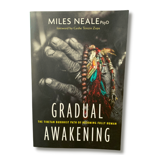 Gradual Awakening The Tibetan Buddhist Path of Becoming Fully Human by Miles Neale