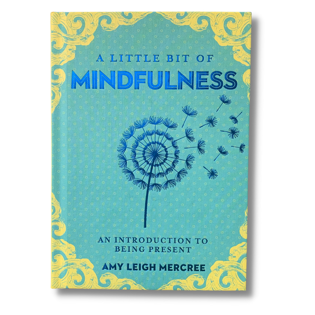 A Little Bit of Mindfulness ~ An Introduction to Being Present