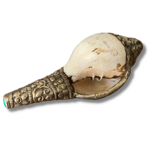 Auspicious Fish Engraved Conch Shell