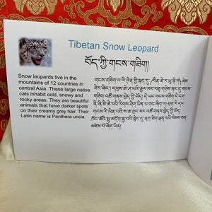Children’s Books: Tibetan Snow Leopard Book 4
