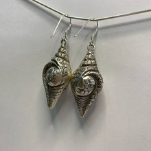 Load image into Gallery viewer, Conch Shell Earrings