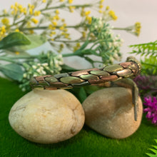 Load image into Gallery viewer, Snake 3 Metal Bracelet