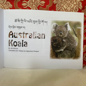 Children’s Books: Australian Koala Book 3