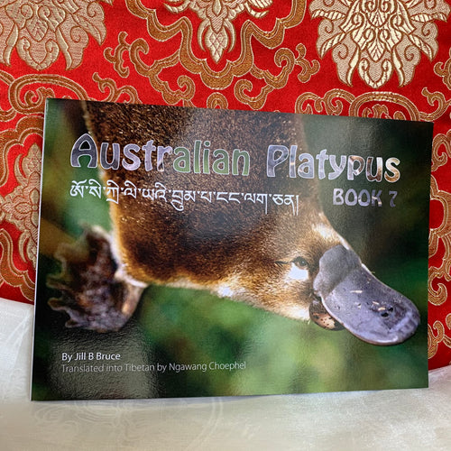 Children’s Books: Australian Platypus Book 7