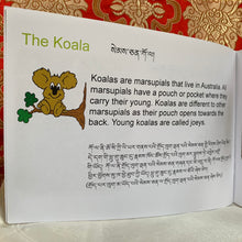 Load image into Gallery viewer, Children’s Books: Australian Koala Book 3