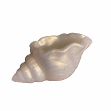 Load image into Gallery viewer, Conch Shell Holder
