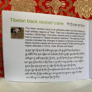 Children’s Books: Tibetan Black Necked Crane Book 6