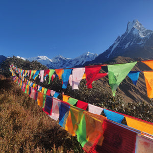 medium tibetan prayer flag in the mountains